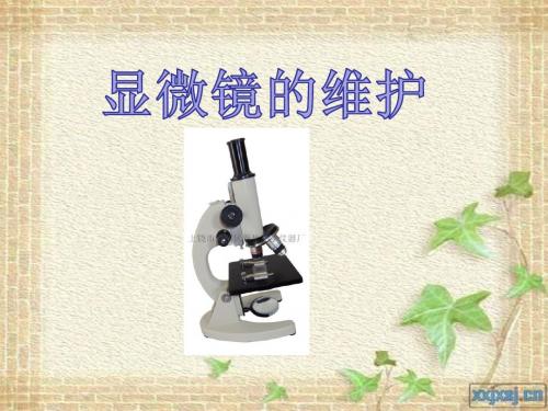 显微镜的维护
