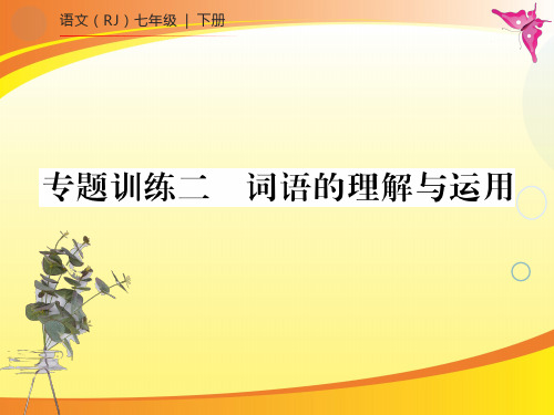 专题训练二 词语的理解与运用PPT语文课件