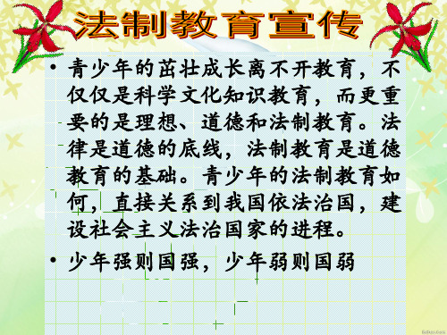 第六课弘扬法治精神建设法治国家ppt课件