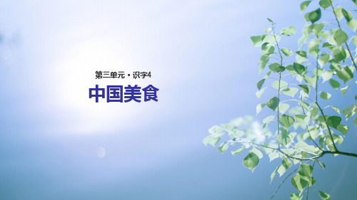 (赛课课件)人教版二年级语文《识字四中国美食》 (共15张PPT)