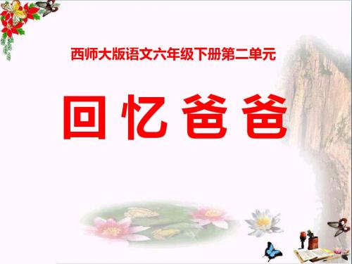 《回忆爸爸》 精品PPT课件2(共13张)