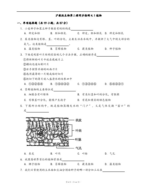 沪教版生物第二册同步检测4.1植物(word版,含答案解析)