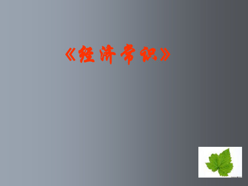 高考政治 教师培训经济常识课件 新人教版