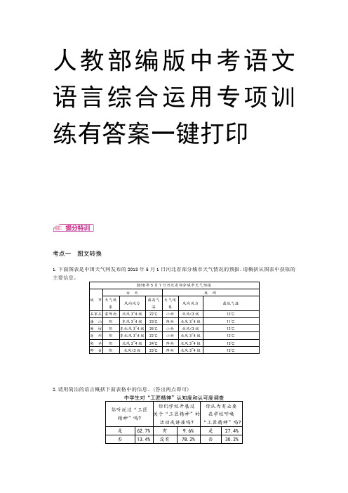人教部编版中考语文语言综合运用专项训练有答案