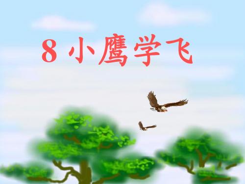 8小鹰学飞