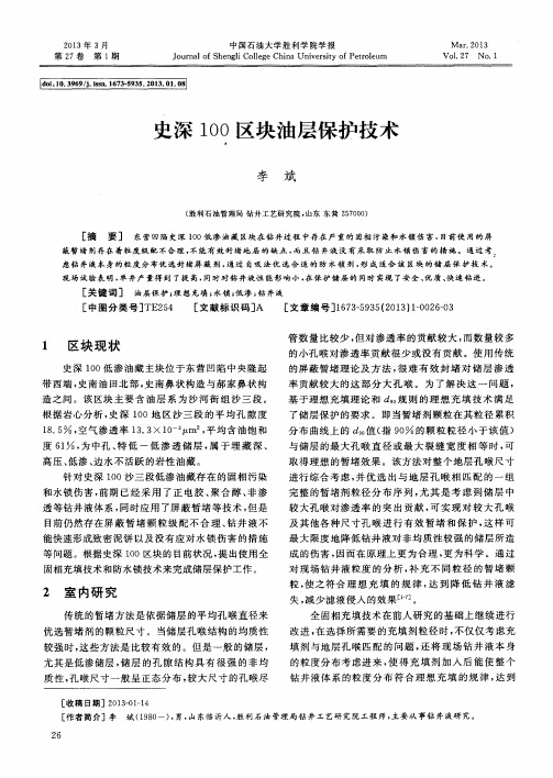 史深100区块油层保护技术