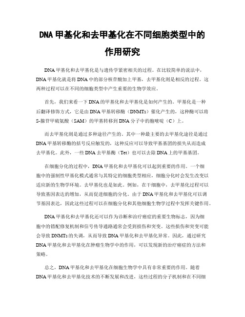 DNA甲基化和去甲基化在不同细胞类型中的作用研究