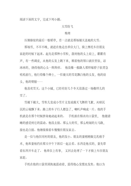 《大雪纷飞》阅读练习及答案