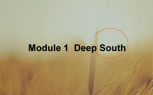 2018高考英语外研版一轮复习构想课件8.1选修八Module 1 Deep South 精品