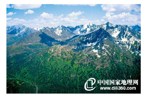 小专题 林线雪线