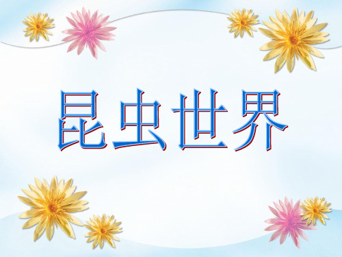 装满昆虫口袋课件