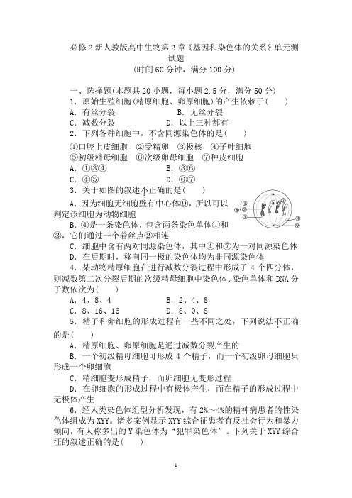必修2新人教版高中生物第2章《基因和染色体的关系》单元测试题及答案解析