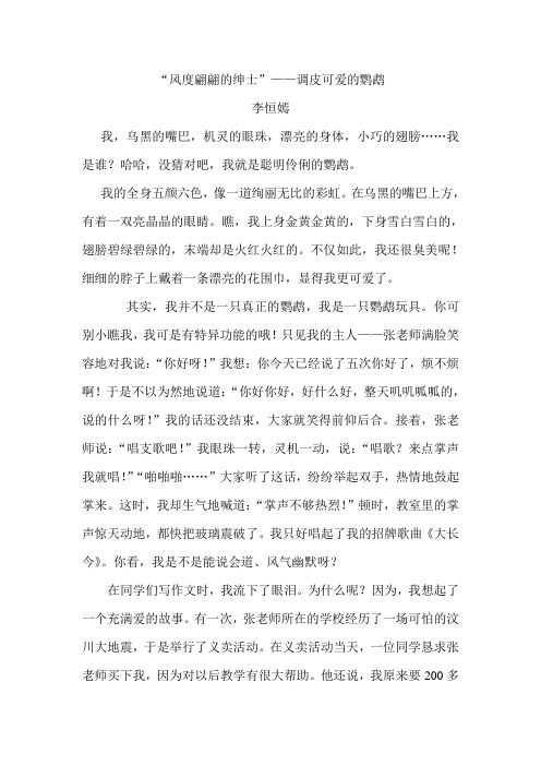 风度翩翩的绅士——调皮可爱的鹦鹉