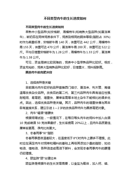 不同类型肉牛的生长速度如何