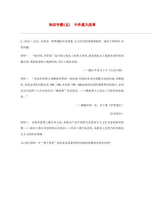 人教版2019年中考历史二轮复习知识专题5中外重大改革练习