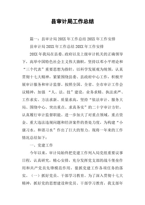 县审计局工作总结[工作范文]