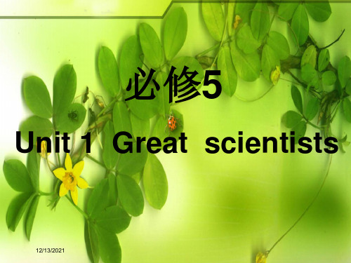 高考英语一轮复习 unit 1 great scientists课件