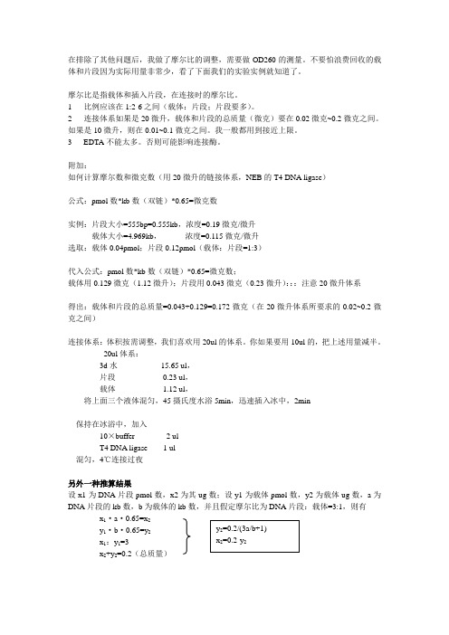 质粒构建中 DNA片段与载体连接的经验