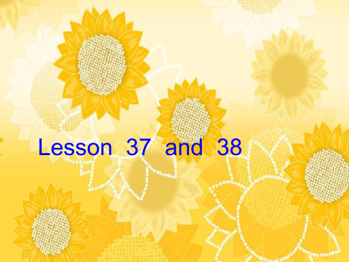 新概念第一册Lesson37-38