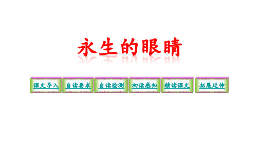 语文S版六年级下册语文 18  永生的眼睛 课件