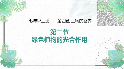 初中生物北京版七年级上册第二节绿色植物的光合作用课件