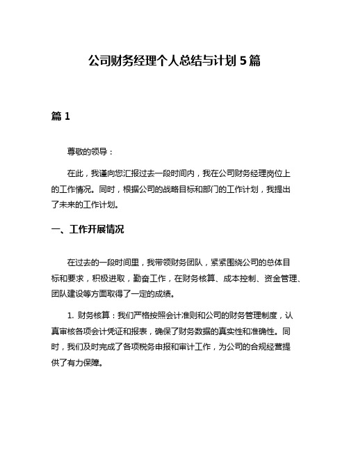 公司财务经理个人总结与计划5篇