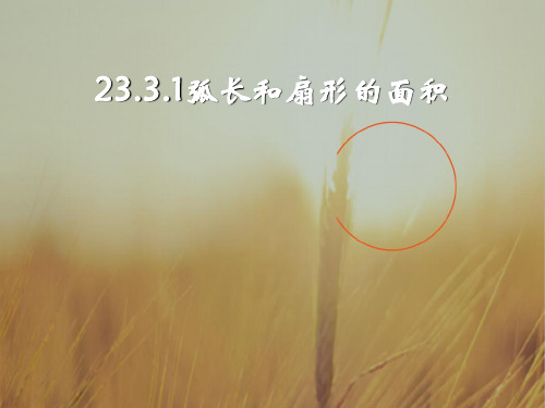 初三数学最新课件-弧长与扇形面积华师大版 精品