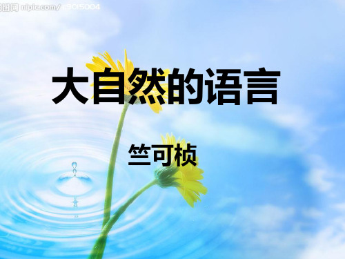 16-大自然的语言