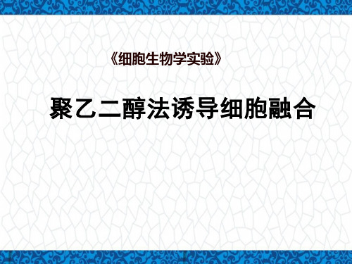 细胞生物学实验PPT课件：聚乙二醇法诱导细胞融合