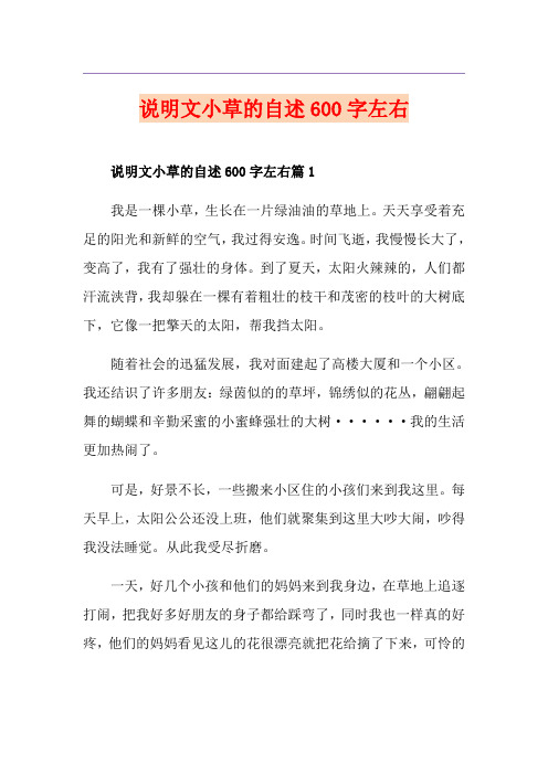 说明文小草的自述600字左右