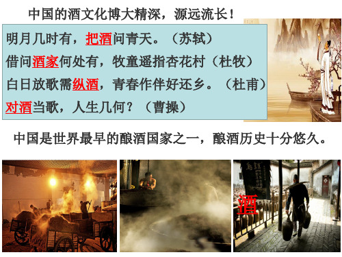 沪科版高中化学高二下册-12.1 杜康酿酒话乙醇—乙醇 课件 (共22张PPT)