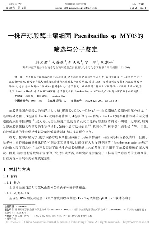 一株产琼胶酶土壤细菌Paenibacillussp_MY03的筛选与分子鉴定
