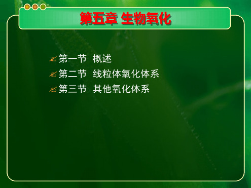 05生物氧化