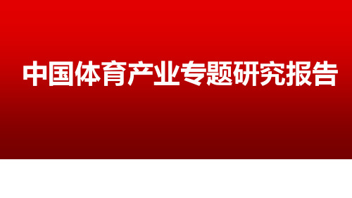 2017年中国体育产业专题研究报告