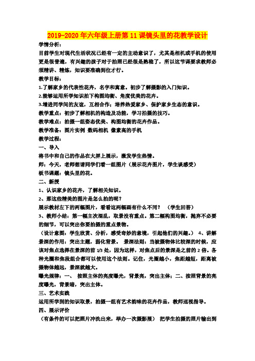 2019-2020年六年级上册第11课镜头里的花教学设计