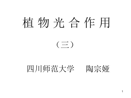 植物生理学3-3 光合碳同化