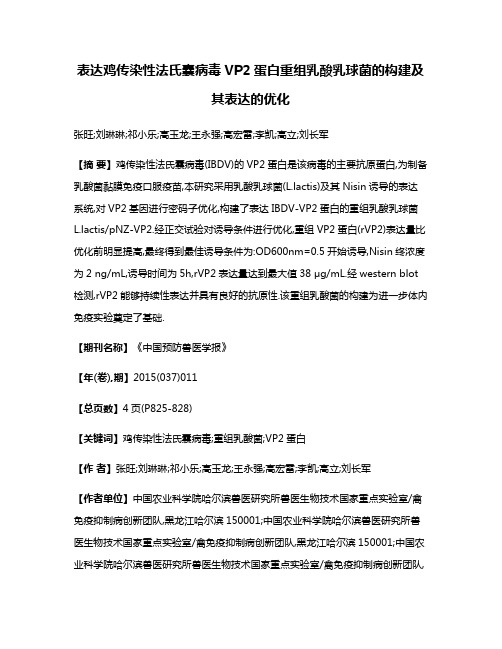 表达鸡传染性法氏囊病毒VP2蛋白重组乳酸乳球菌的构建及其表达的优化