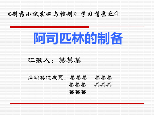 制药小试汇报模板