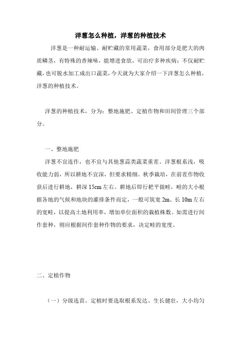 洋葱怎么种植,洋葱的种植技术.doc