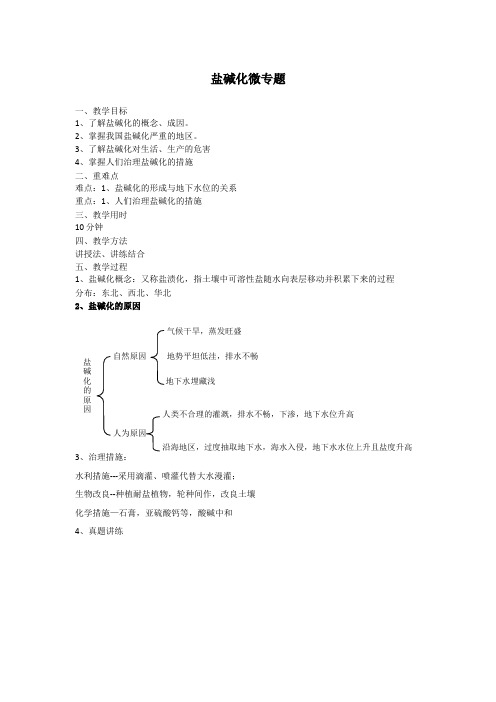 盐碱化 高中地理必修教案教学设计 人教版