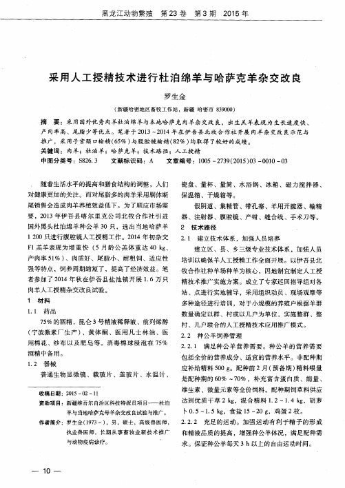 采用人工授精技术进行杜泊绵羊与哈萨克羊杂交改良