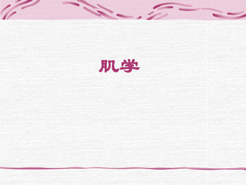 肌学的总论和各论
