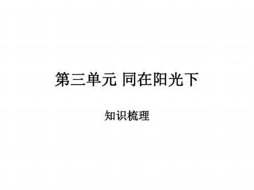 冀教版思想品德：第三单元《同在阳光下》知识梳理课件(教科版九年级)