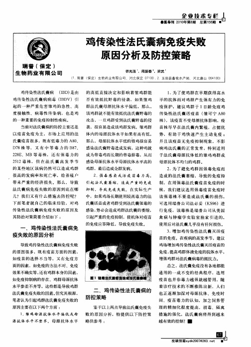 鸡传染性法氏囊病免疫失败原因分析及防控策略