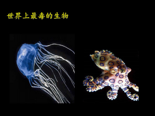 世界上最毒的生物