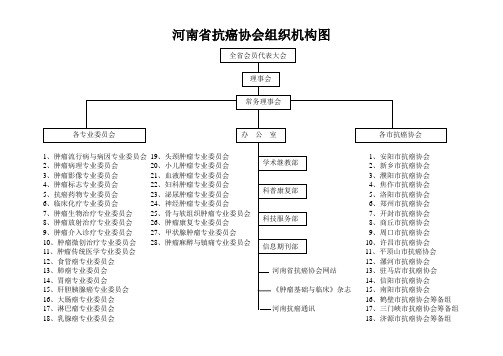 河南省抗癌协会组织机构图