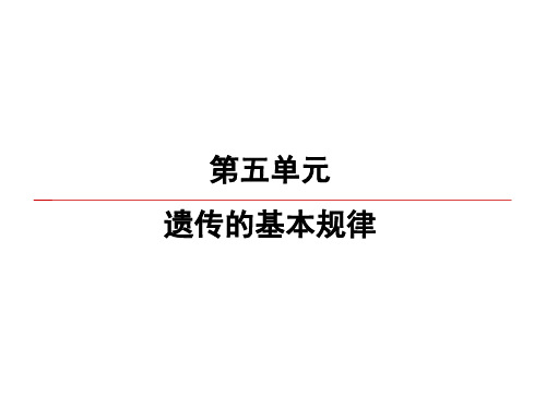 2020高考生物一轮复习课件：第5单元 第2讲 基因的自由组合定律