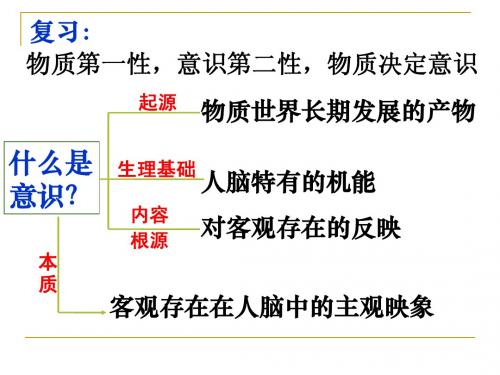 2.5.2意识的作用