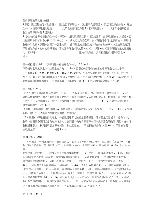 (完整版)鱼类性腺发育