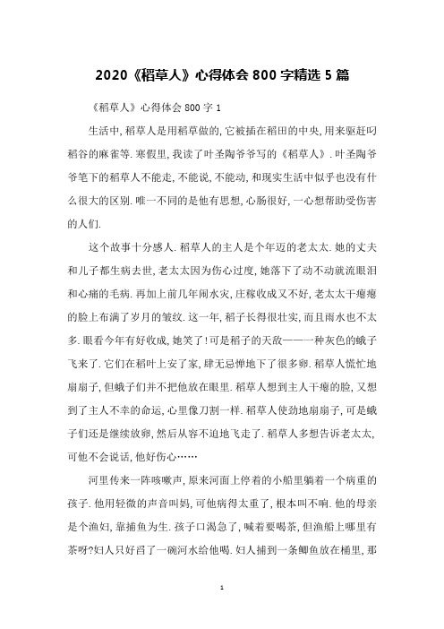 2020《稻草人》心得体会800字精选5篇